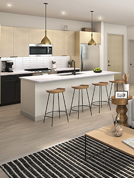 Sylo interior kitchen