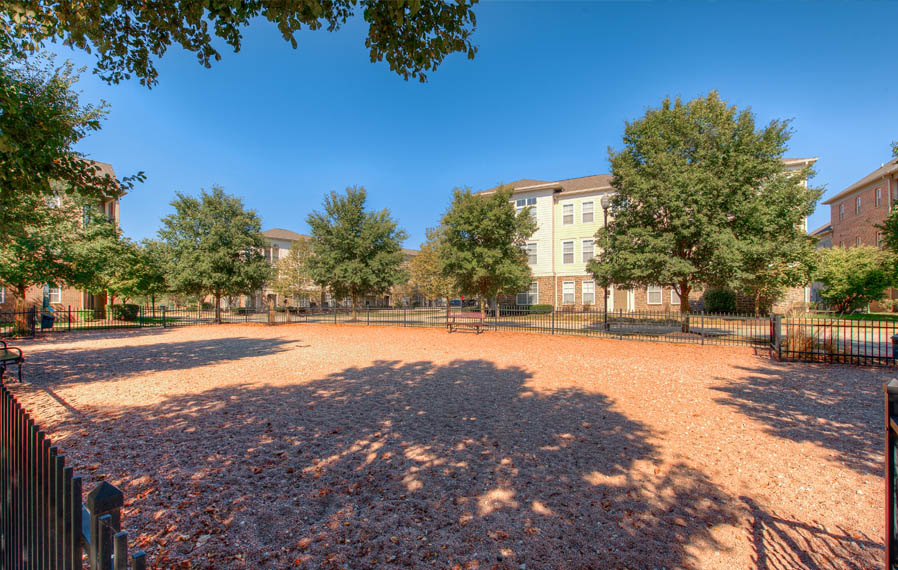 Let your dog run in a dog park, like the one at Legacy apartments in Carmel. Wide open dog park at Zionsville apartments.